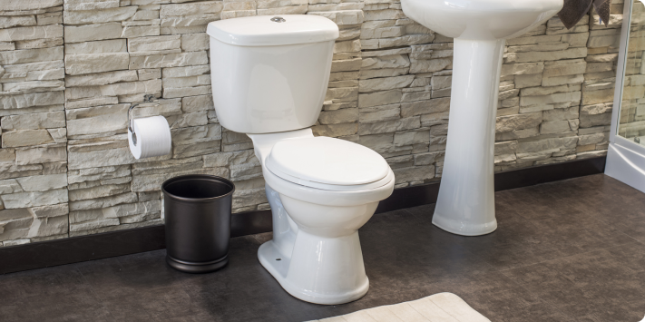 Tipo de sifón del inodoro