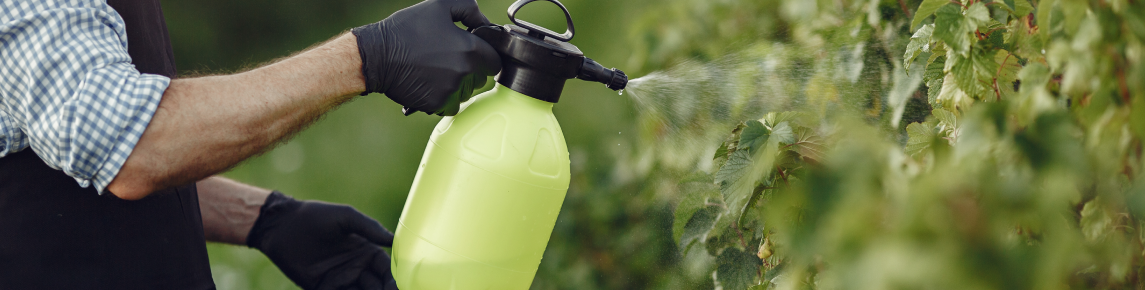 Cómo elegir un fertilizante