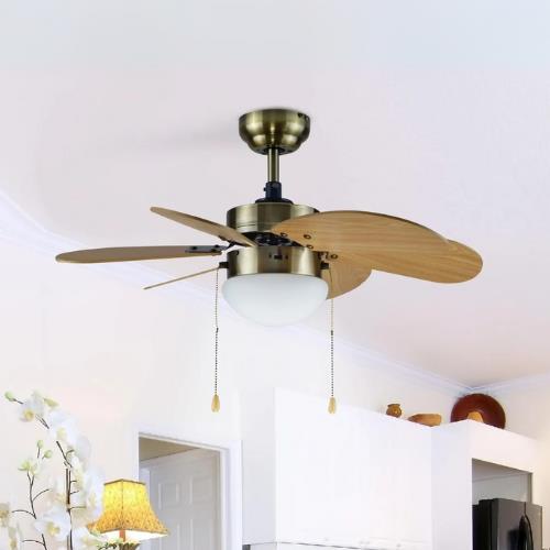 Ventiladores de techo