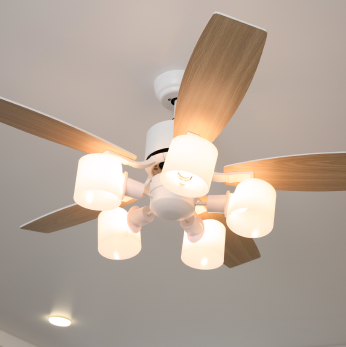 Estilo y funcionalidad