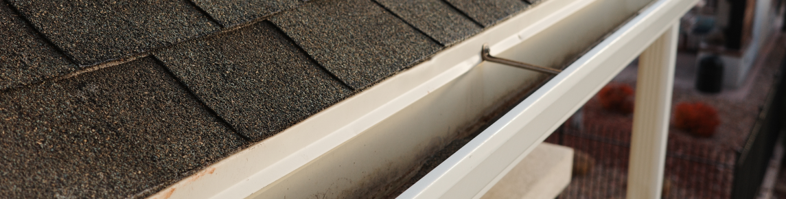 Cómo reparar y prevenir goteras en tu techo