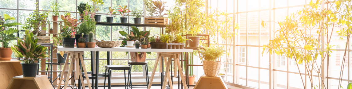 Ideas para hacer un jardín pequeño