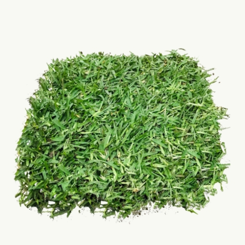 Grass natural
