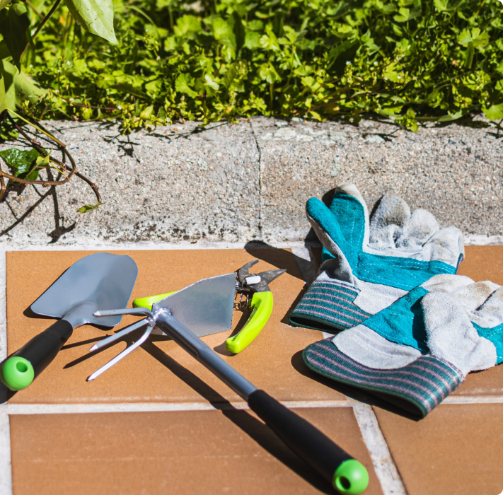 Herramientas para podar y trasplantar