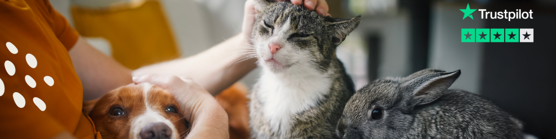 4Paws Pet Insurance