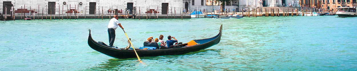 Cedar Tree Insurance