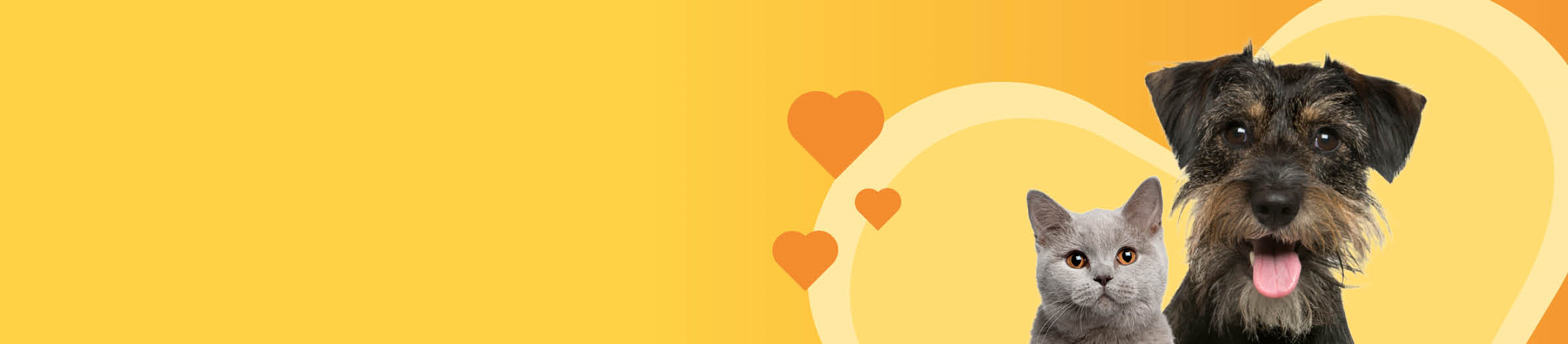 Perfect Pet Insurance