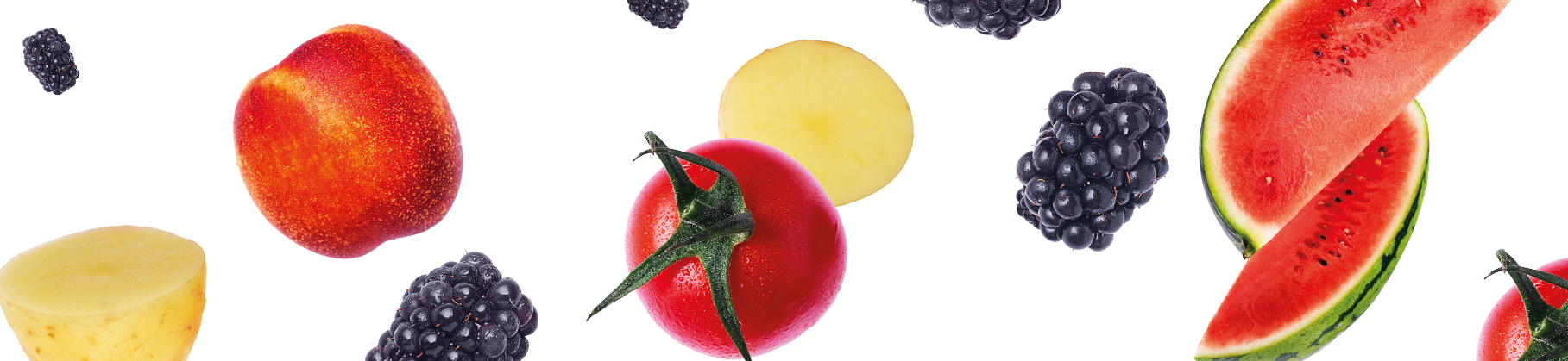 Sainsbury's Groceries