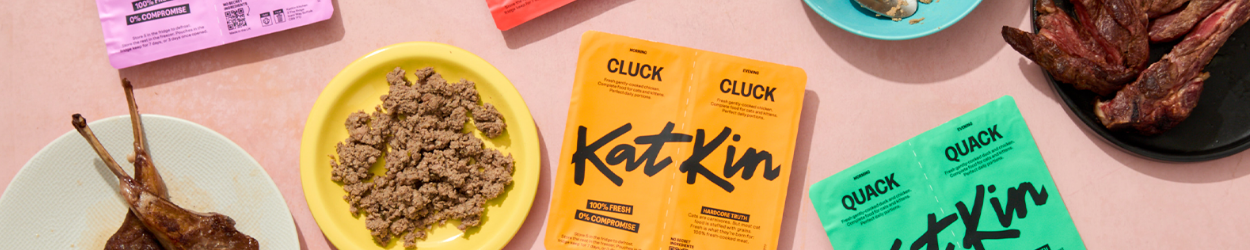 Katkin
