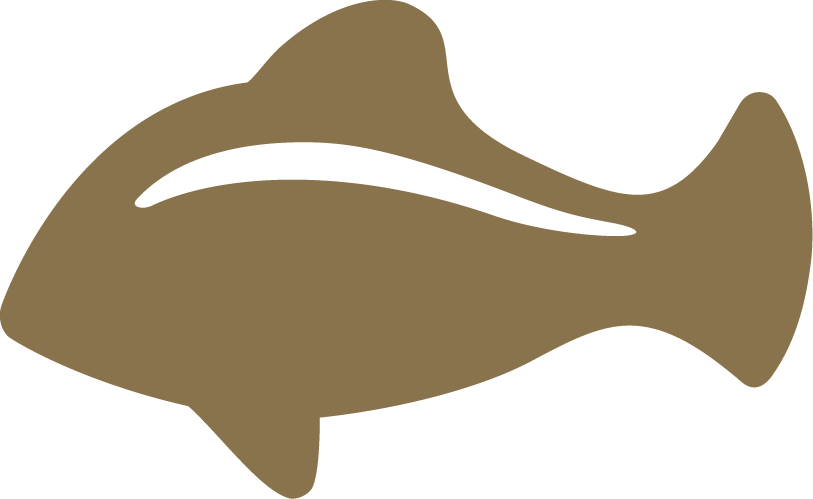 Seafood Icon