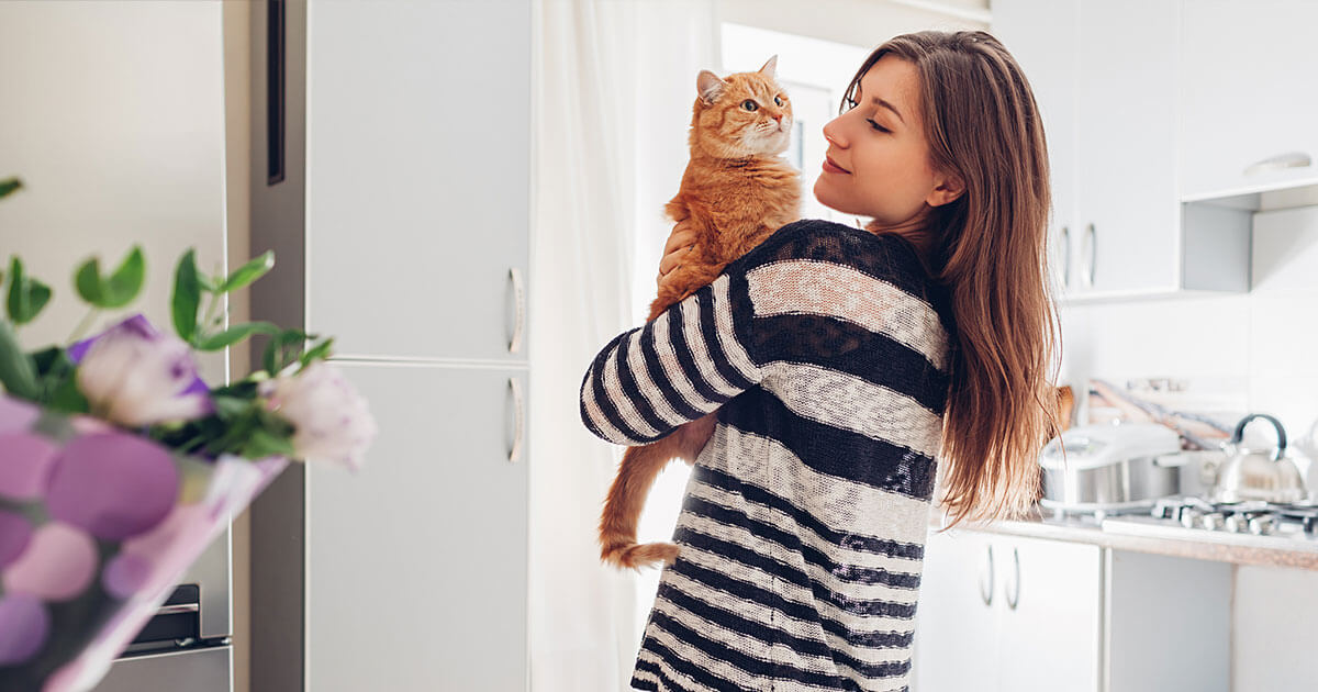 Cat Adoption: A Guide to Bringing Home an Adult Cat