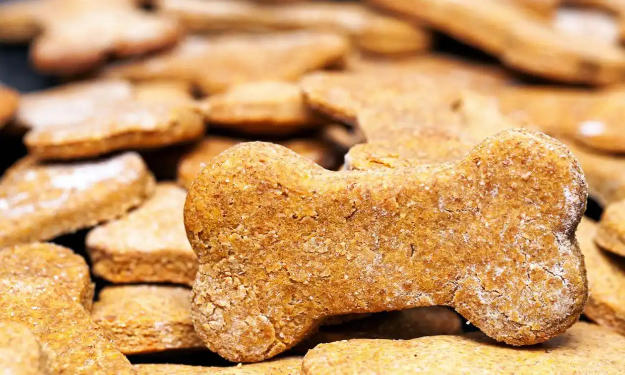 Ginger Dog Treat Recipe