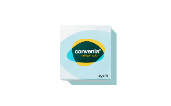 Convenia - Antibiotic Therapy