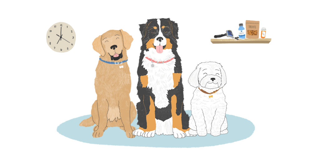 A group of three dogs sitting next to each other.