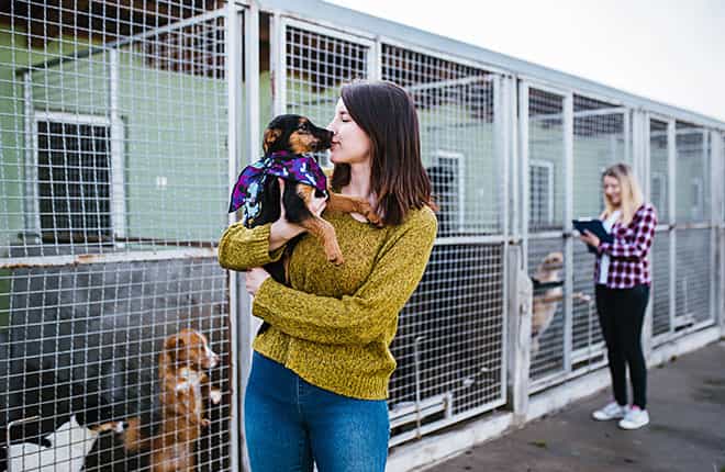 A woman holding a small dog in her arms.