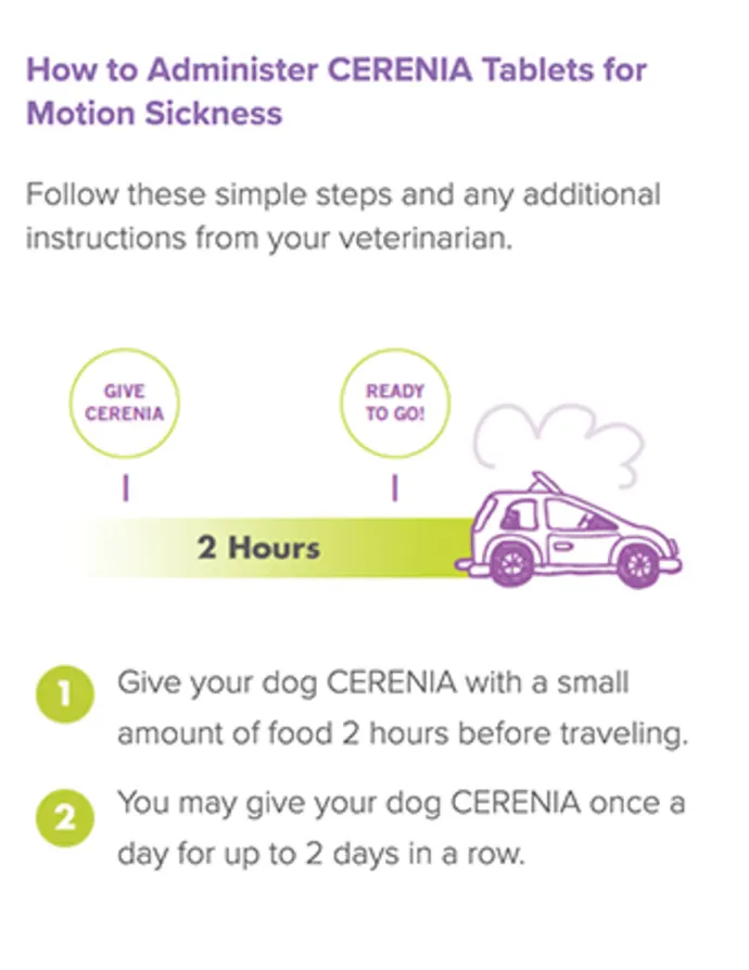 img-cerenia-how-to-administer@2x.webp