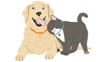 Illustration of dog and cat