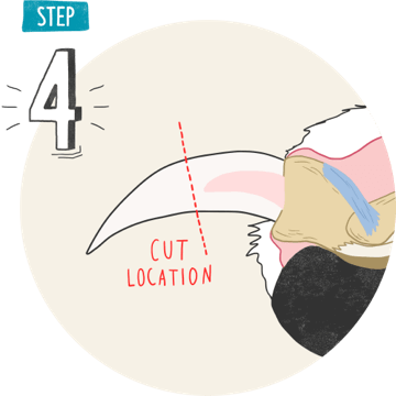 Avoid the pink triangular area