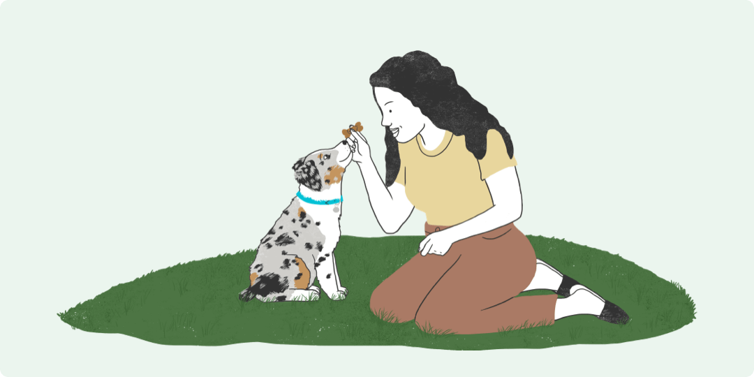 Illustrated woman giving her dog a treat