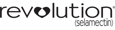 Revolution logo