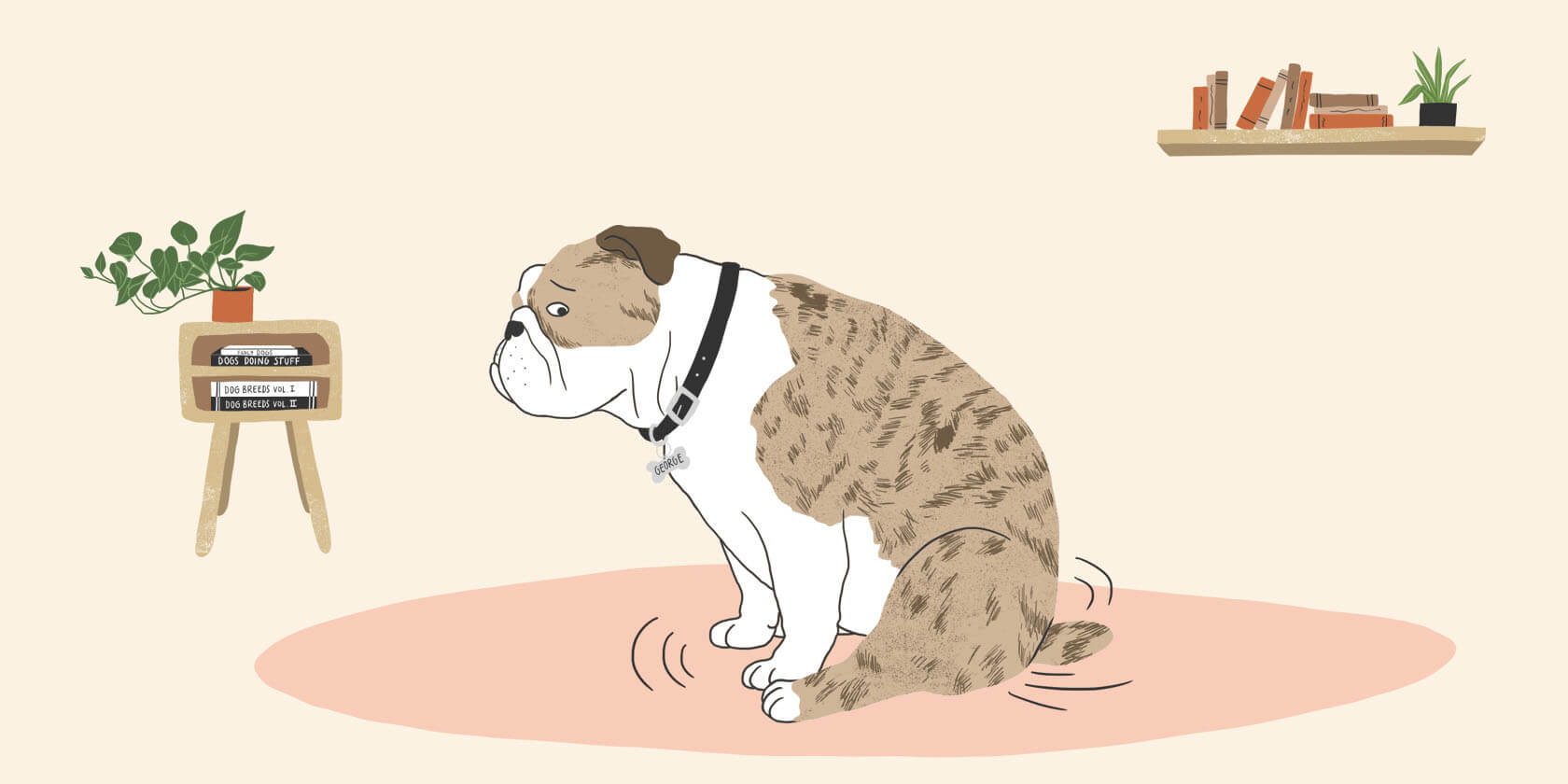 what causes dogs to itch constantly