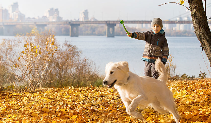 Fall Activities for You and Your Dog