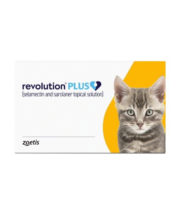 Revolution Plus