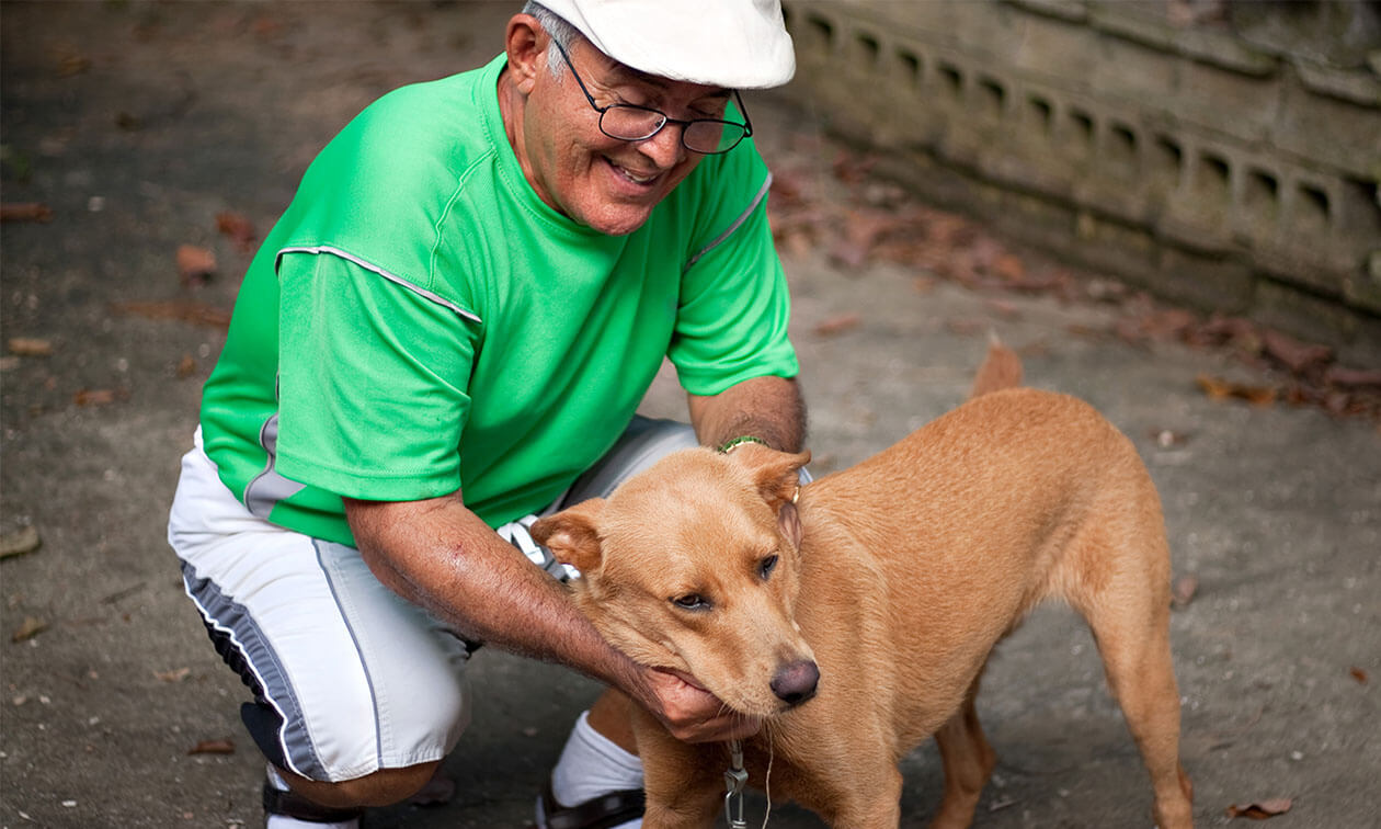 A man in a green shirt petting a brown dog.