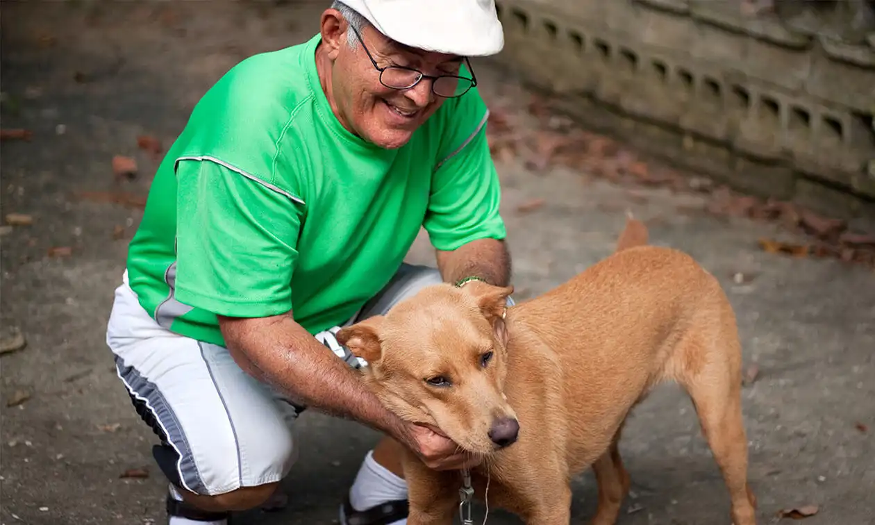 A man in a green shirt petting a brown dog.