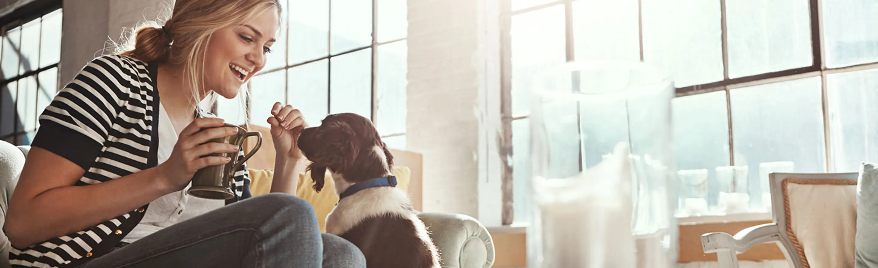 woman on couch praising dog