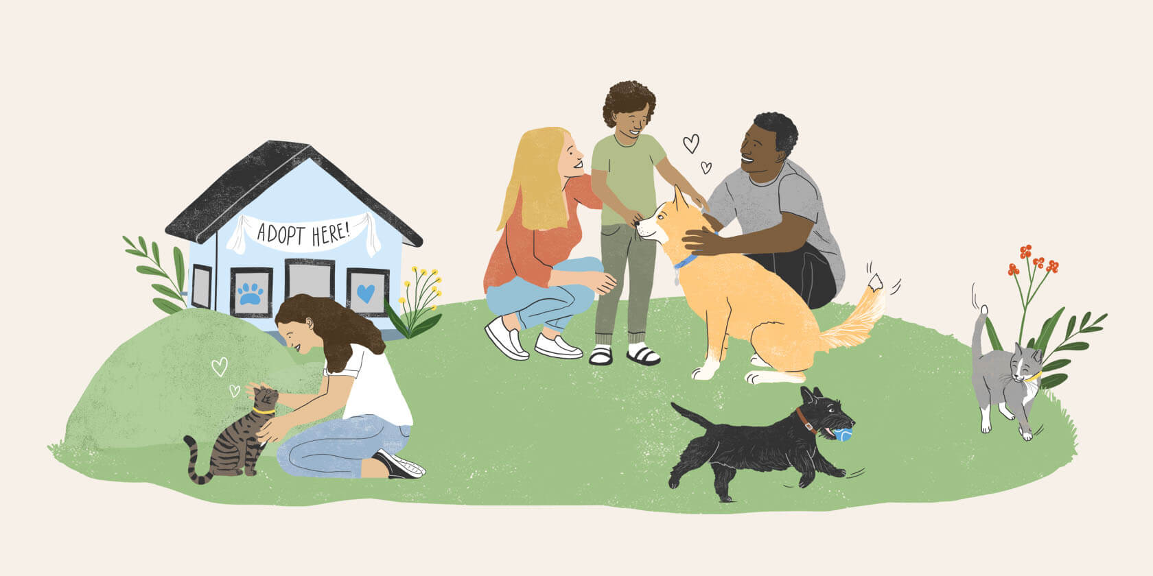 what do you need to do when you adopt a dog