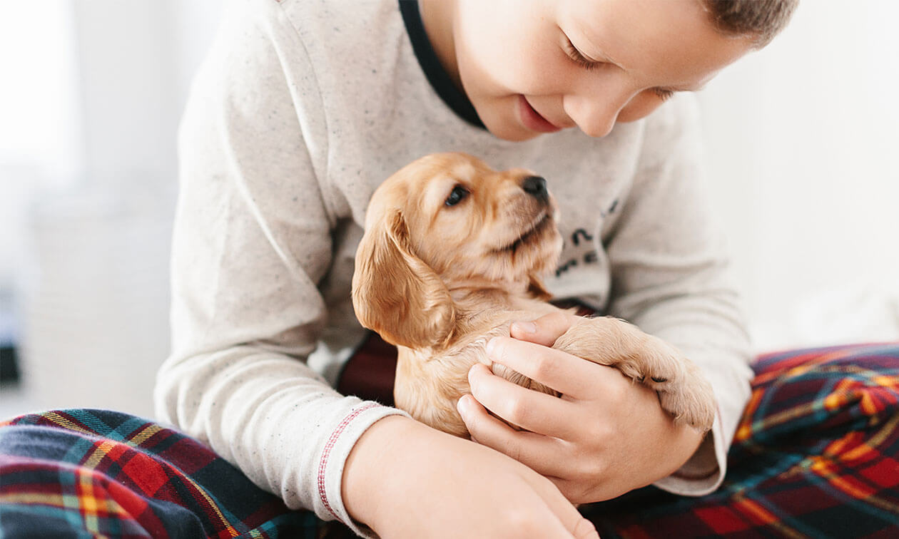 A child holding a puppy in their lap.