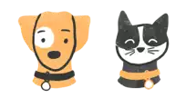 Dog and Cat