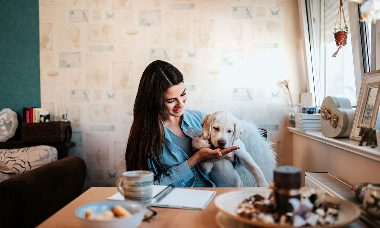 A woman sitting at her desk holding a puppy.
