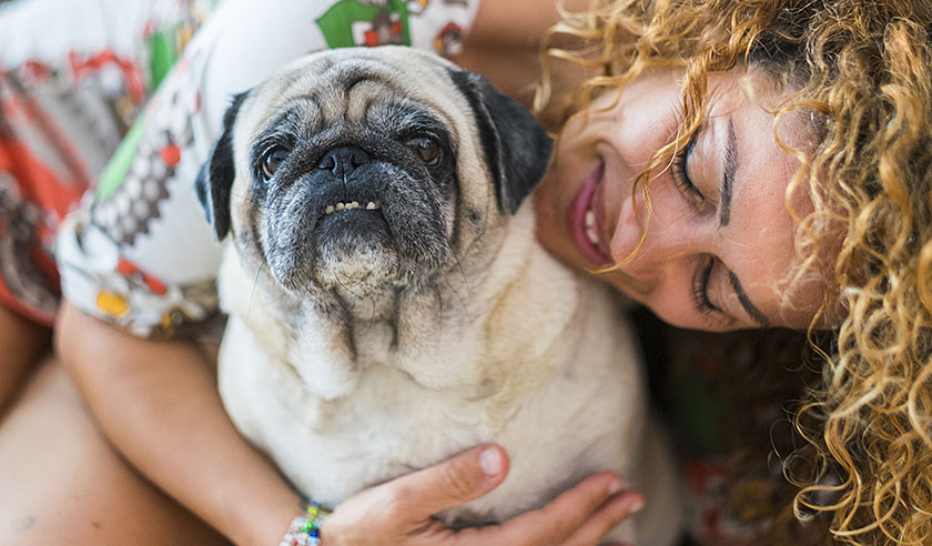 What to Know When Adopting a Senior Pet