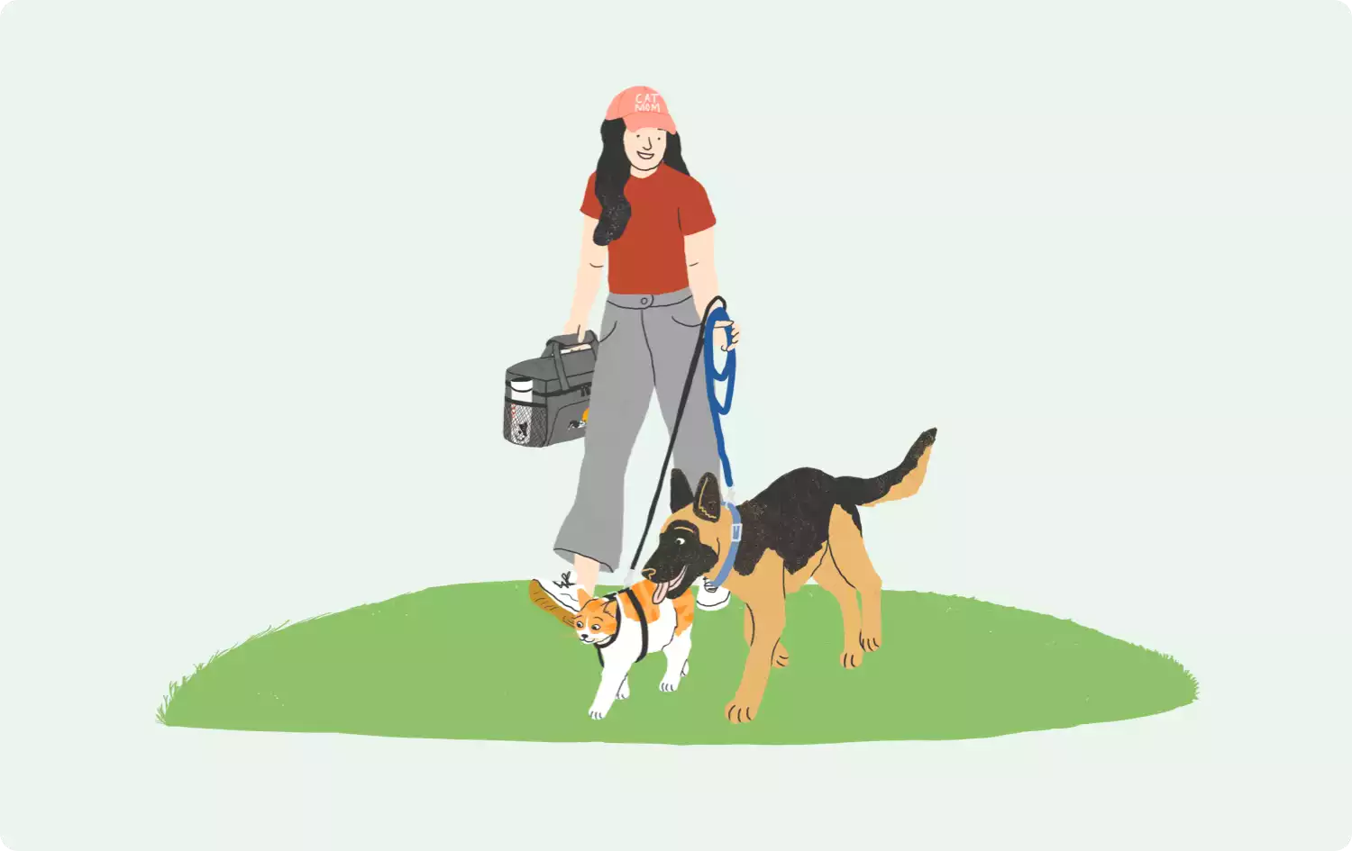 illustration of woman walking a dog and cat