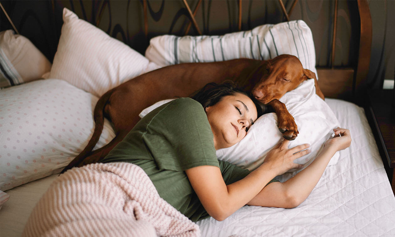 A woman laying in bed with her dog.