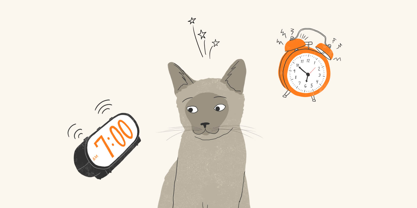 How to Keep Your Cat from Waking You Up | Zoetis Petcare