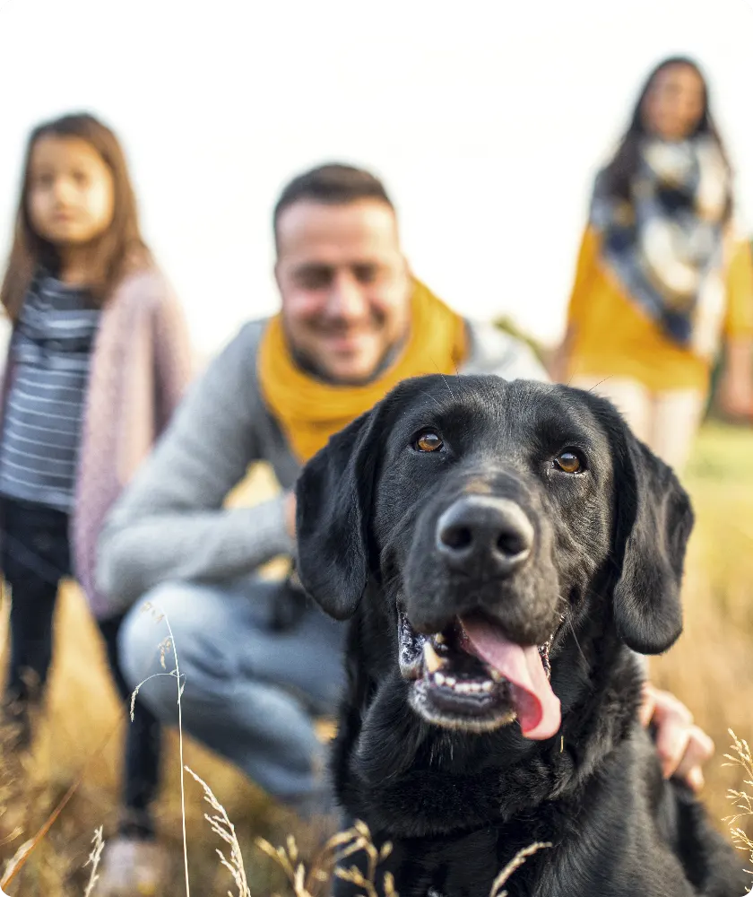 Dog with family
