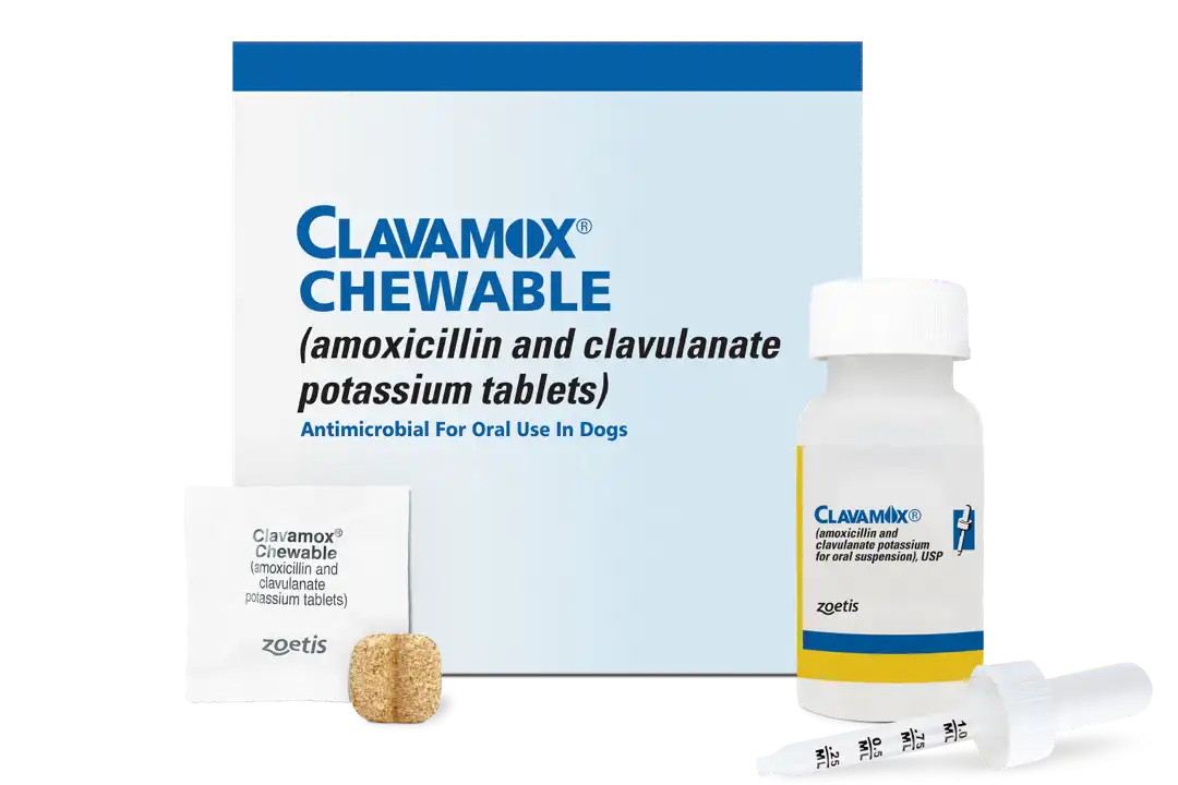 Clavamox product box