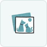 file placeholder
