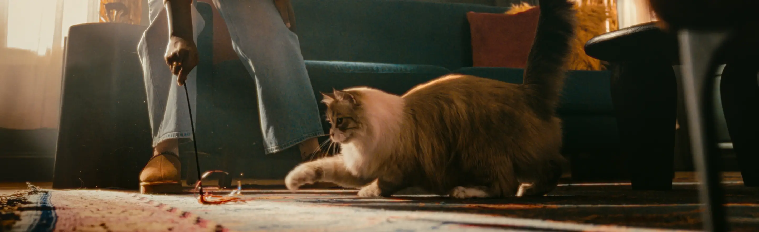 Cat chasing cat toy on a rug.