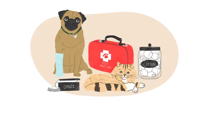 Pet First Aid Kit Checklist