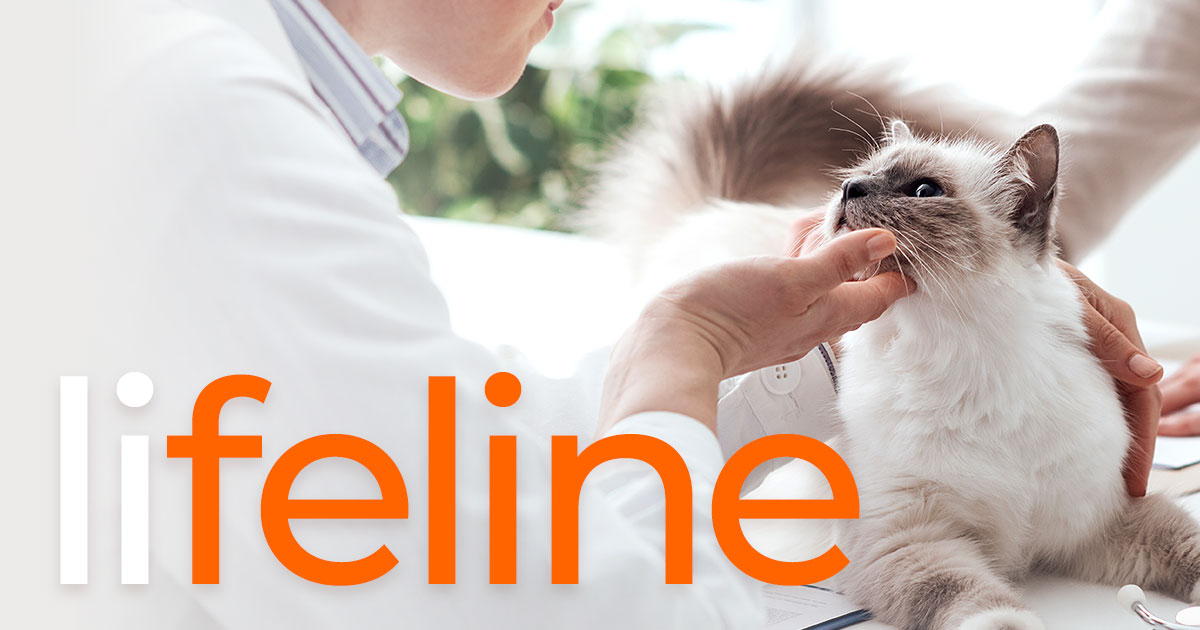 Lifeline Zoetis Petcare