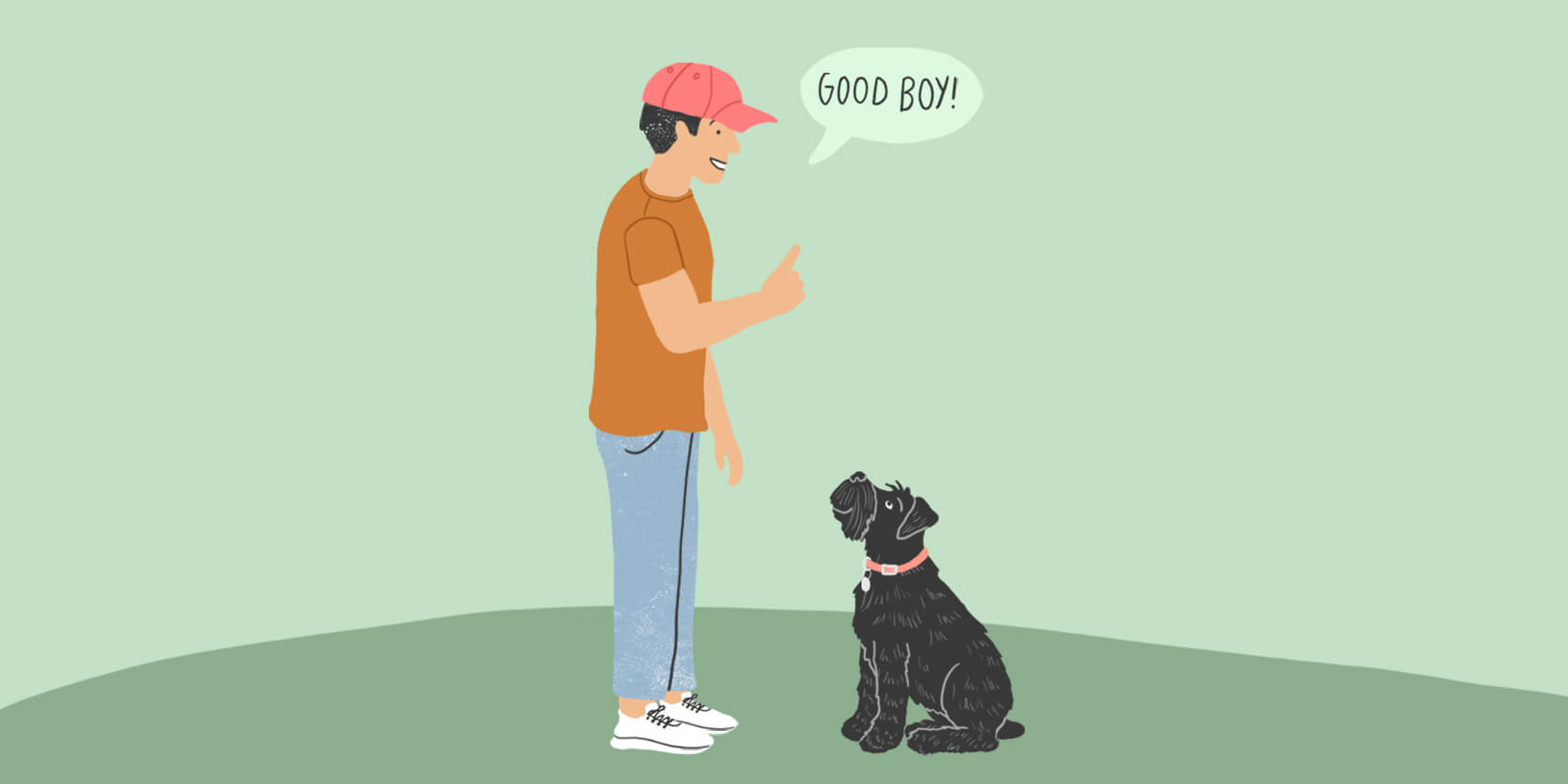 How to get your dog sale to sit