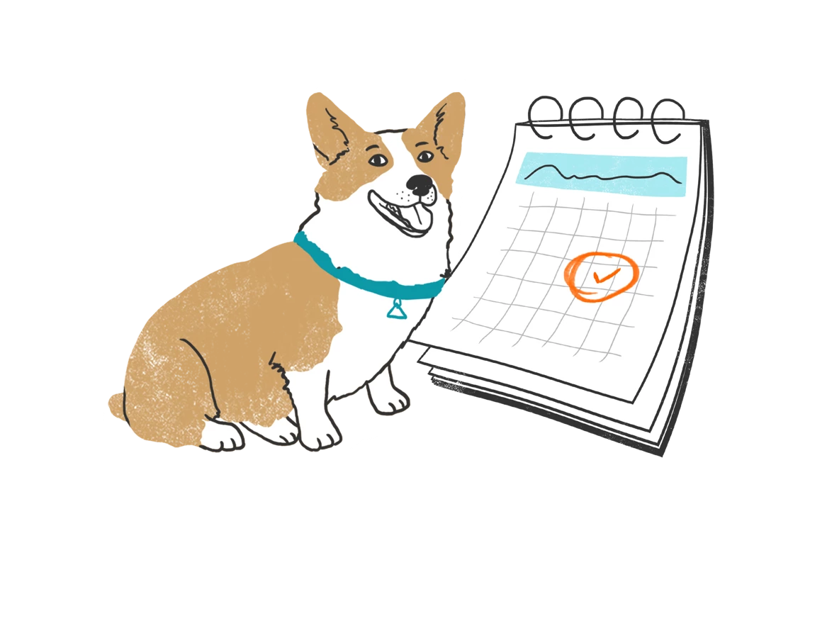 Keep Up Your Dog’s Pest Defense With Worry-Free Reminders