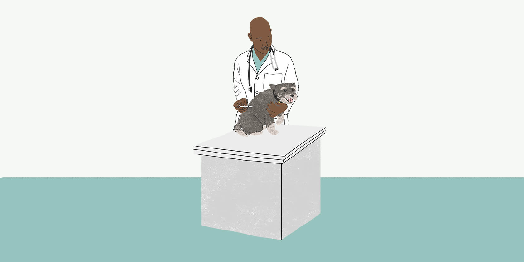 Dog on veterinary table and veterinarian