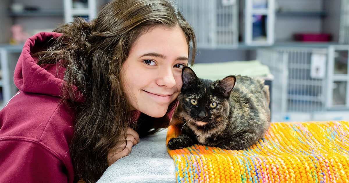 Feline Panleukopenia How to Keep Your Cat Safe and Healthy Zoetis Petcare