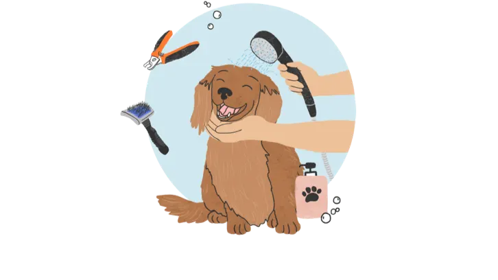 The Dog Grooming Guide