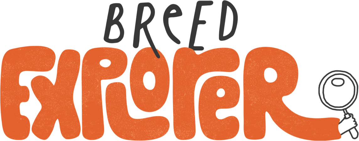 A black and orange logo with a magnifying glass.